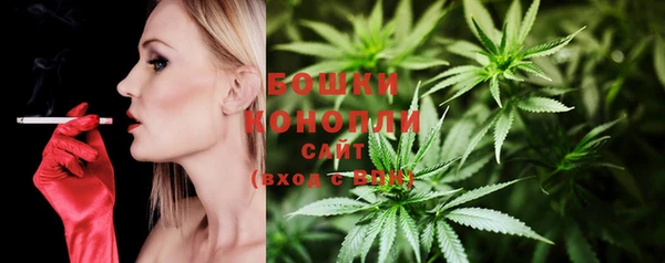 трава Богданович