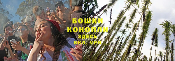 СК Богородицк