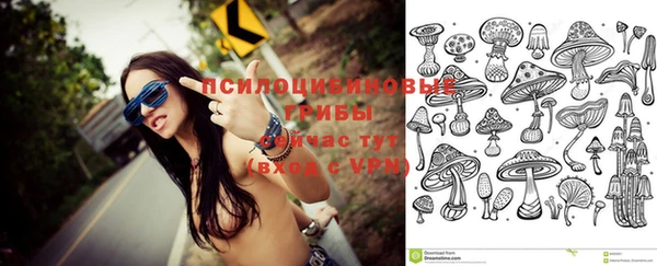 СК Богородицк