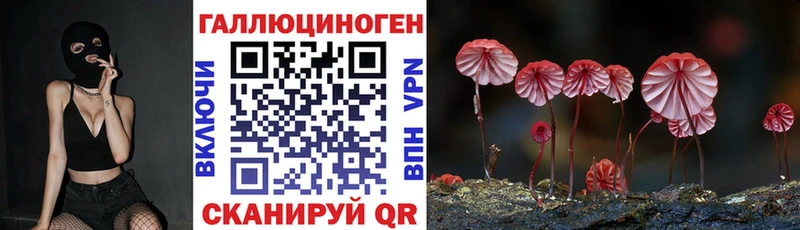 купить наркотик  Владивосток  Галлюциногенные грибы Psilocybine cubensis 